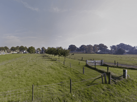 Plangebied vanaf Hogeweg.jpg