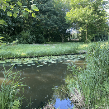 Bouwkavels Dordts Buiten