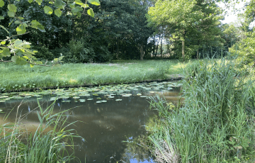 Bouwkavels Dordts Buiten