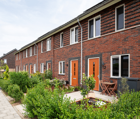 20250807-5990-0766-lr