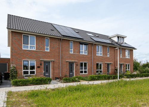 20250807-5990-0666-lr