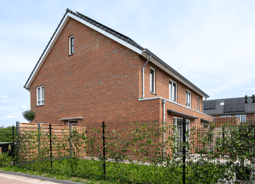 20250807-5990-0726-lr