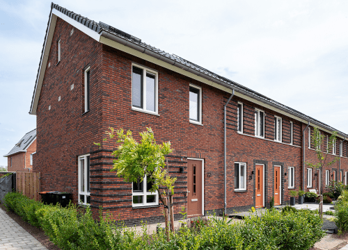 20250807-5990-0781-lr