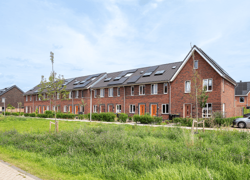 20250807-5990-0856-lr