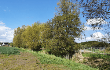 5 bouwkavels Dorpsgaard