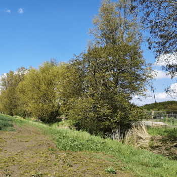 5 bouwkavels Dorpsgaard