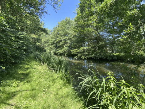 uitzicht oostkil en poldersloot 3.jpeg