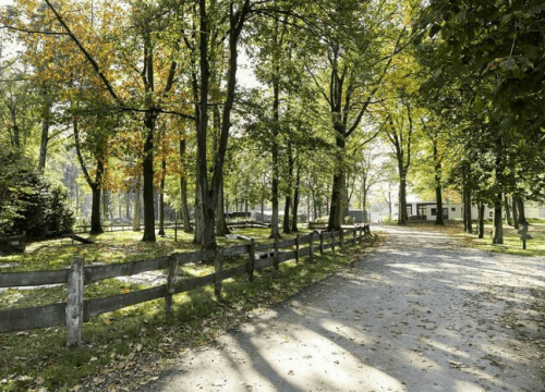 omgeving natuur 1.jpg