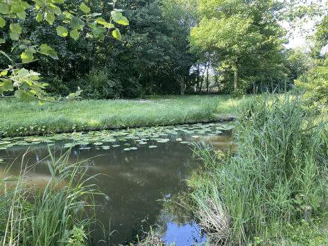 uitzicht oostkil en poldersloot 1.jpeg