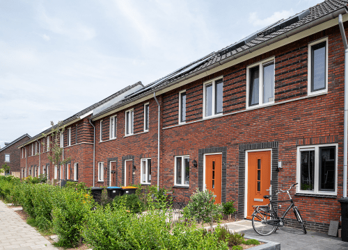 20250807-5990-0741-lr