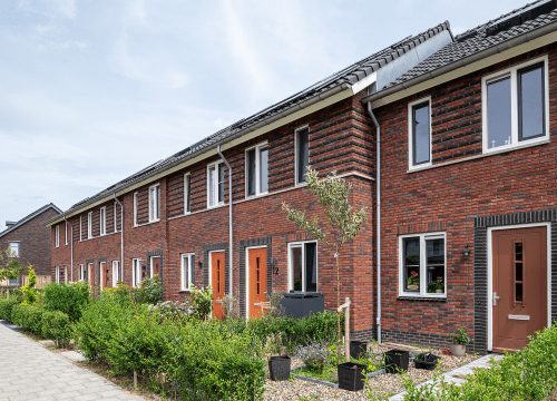 20250807-5990-0746-lr