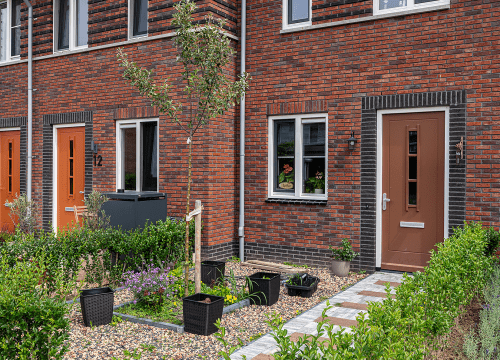 20250807-5990-0756-lr