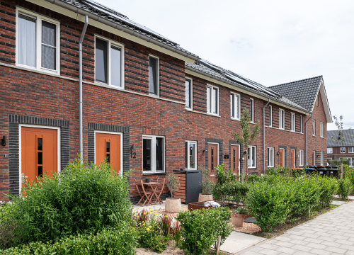 20250807-5990-0771-lr