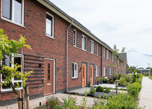 20250807-5990-0791-lr