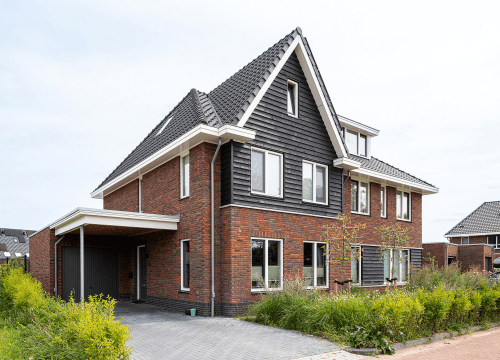 20250807-5990-0801-lr